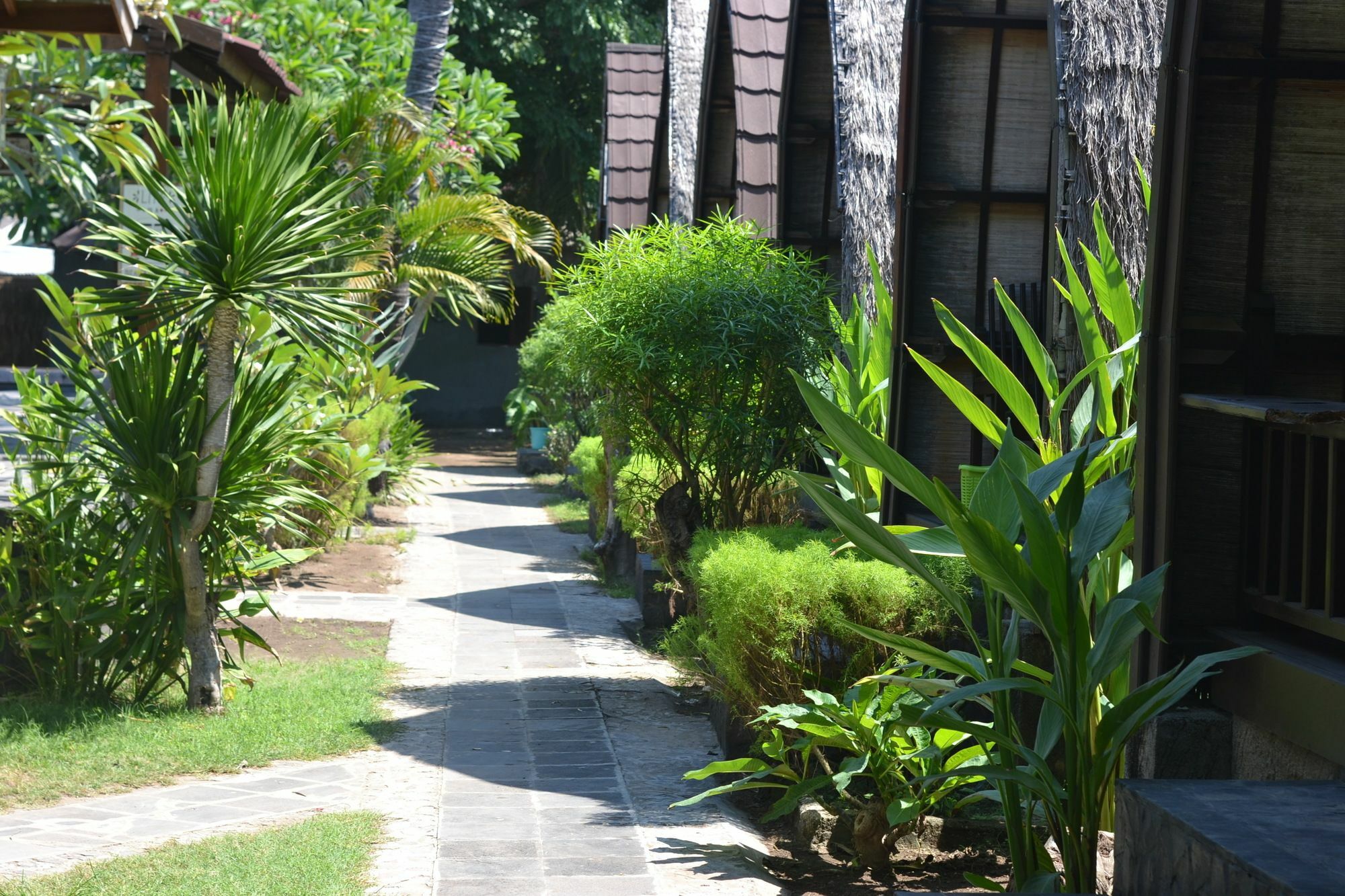 Amora Villa Gili Trawangan Exterior foto